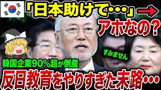 「これが反日教育に力を入れた結果か･･･」10年間で90％のK国企業倒産！経済崩壊の危機に･･･【海外の反応・ゆっくり解説】 [upl. by Ettelracs]