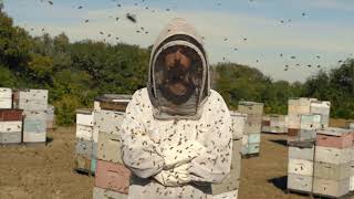 How to Start Beekeeping Beginning Beekeeping Virtual Class by Blake Shook The Bee Supply [upl. by Arikahc793]