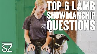 Top 6 Questions Lamb Showmanship Judges Ask [upl. by Leuqcar]