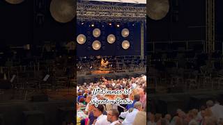 LIA REYNA  Live  Festival Schloss Kapfenburg 2024 🤩 berlin shorts [upl. by Arvonio]