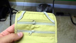 Tapp Collections Travel Neck Pouch Unboxing [upl. by Cruickshank]