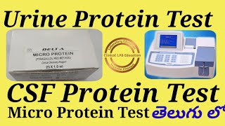 Urine Protein Test And CSF Protein Test in Pyrogallol Red Method in TELUGUDELTA  Erba [upl. by Navi343]