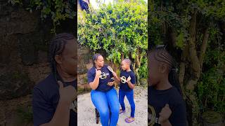 Most Funny Comedy Video 🤣🤣🤣shortvideo shorts [upl. by Axia]