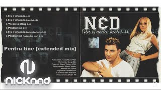 NampD  Pentru Tine extended mix HQ Audio [upl. by Matti]