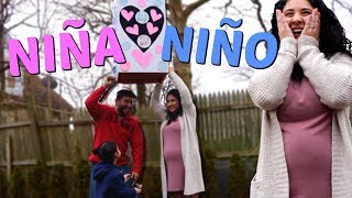 TENDREMOS NIÑA 👧🏻 o NIÑO 👦🏻 Fiesta REVELANDO el SEXO de Nuestro BEBE Vlogs Diarios [upl. by Yreneh]