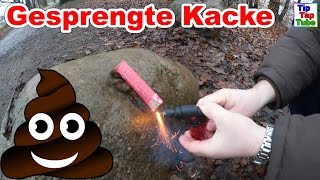 Gesprengte Kacke  Ekelhaftes Silvester Feuerwerk  Knaller Vlog TipTapTube [upl. by Frayne613]