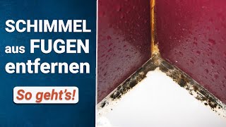 Schimmel aus Silikonfugen entfernen  So geht’s [upl. by Aranahs]