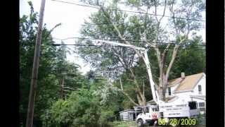 Happy Trees LLC Crane work at Dracut MA [upl. by Waylin203]