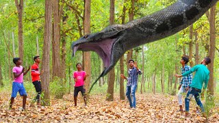 Anaconda Snake Attack On Village Boy In Forest [upl. by Lytton]