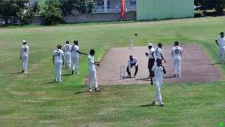 Superb Blend Gladiola vs Wanderers  Day 2 Elite [upl. by Ilocin854]