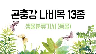 학습하기문강목과 생물분류기사동물곤충강나비목 13종 [upl. by Enoob]