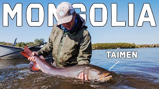 Fly Fishing Mongolia TAIMEN  The Worlds Largest Salmonid [upl. by Adnawyek]