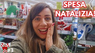 ANDIAMO A FARE LA SPESA PER NATALE VLOGMAS 3 [upl. by Ahsienauq561]