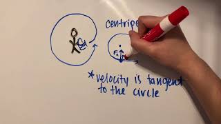 Circular Motion Basics [upl. by Aihsercal]