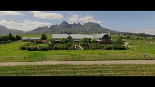 Longridge Wines  Biodynamic Wine Farm [upl. by Alrich]