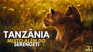 Tanzânia Muito Além do Serengeti animals wildlife documentary safari [upl. by Emmye]