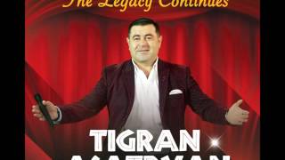 Tigran Asatryan  07 Barov Ari  New 2016 Album [upl. by Nickolai]