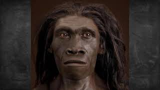 Australopithecus ao sapiens [upl. by Tiler]