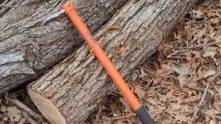 Stihl Hookaroon Review After 4 years [upl. by Ecadnarb236]