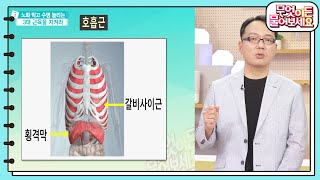 호흡 근육이 줄면 숨통이 막힌다 호흡근 단련하는 운동 배우기 무엇이든 물어보세요  KBS 230705 방송 [upl. by Alfons]