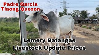 Lemery Batangas livestock  Padre Garcia batangas Livestock  Tiaong Quezon farm  Update [upl. by Jana713]