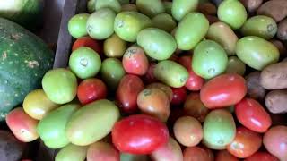 SE MANTIENE EL PRECIO DE LAS VERDURAS EN EL MERCADO MUNICIPAL DE OLANCHITO [upl. by Yadsnil]