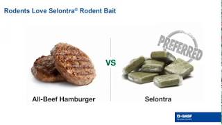 Selontra® Rodent Bait Webinar [upl. by Elisabetta]