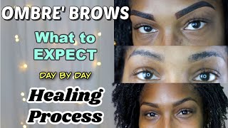 Ombre Powder Brows on DARK SKIN  What to Expect  Healing Process  No Talking  Day by Day [upl. by Einaj66]