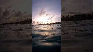 ATARDECER EN LA RIVERA MAYA méxico shortsvideo [upl. by Lebana]