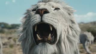 Mufasa Regele Leu  Mufasa The Lion King  Trailer 2 dublat in romana  Disney [upl. by Hgierb429]