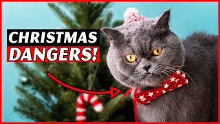 How to keep your cat safe at Christmas [upl. by Neelahs]