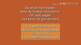 Küssen verboten Die Prinzen lyrics English translation [upl. by Hagai]