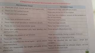 Difference between Meristematic tissue and Permanent tissue [upl. by Boniface]