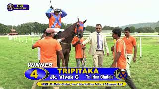 TRIPITAKA with Vivek G up wins The BANanaiah Memorial Trophy 2024 RACE 31 [upl. by Blithe]