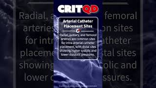 Arterial Catheter Placement Sites [upl. by Hamilah]