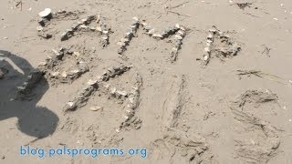 Camp PALS 2012 Beach Day [upl. by Jerrie]