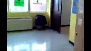 Random video American Left Traction Elevator  Boones Creek Middle School in Johnson City TN [upl. by Anwahs696]