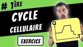 CYCLE CELLULAIRE  Première SVT [upl. by Malet100]