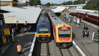 NSW Trainlink Endeavour And Hunter Railcars On The Hunter Line [upl. by Artenehs]