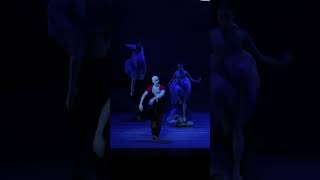 Houston Ballet  The Little Mermaid  The Sea Witch [upl. by Auqinimod]