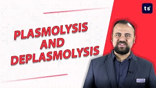 Concept of Plasmolysis and deplasmolysis in plant cell  types of plasmolysis  Biology [upl. by Haleehs]