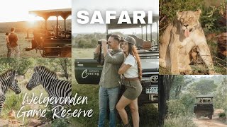 SAFARI in SÜDAFRIKA 🇿🇦  Ablauf Anreise Tipps [upl. by Josh]