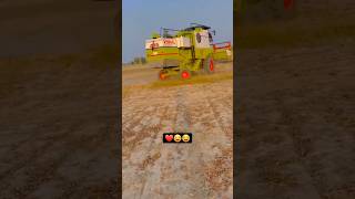 COMBOIN HARVESTER ll shorts​ combine​ viral​ harvester​ farming​ trending​ agriculture​ [upl. by Gromme]