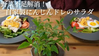 【野菜不足解消】人参の甘みが美味しいリセットご飯！〜夫婦の休日ランチ〜 [upl. by Abbottson]