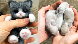 AWW Animals SOO Cute Cute baby animals Videos Compilation cute moment of the animals 14 [upl. by Westlund]