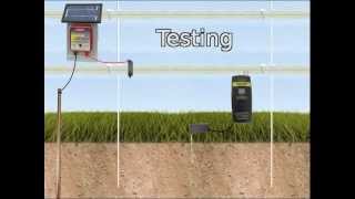 8 Testing Your Electric Fence [upl. by Frech]