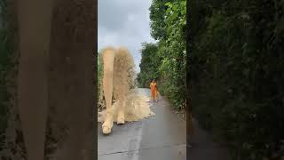 Big sand sculpture catwalk3🤯3D special effects Green screen  youtubeshorts shorts [upl. by Melonie]