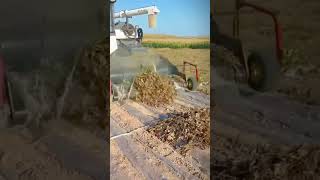 Big farming machine for soybean harvest shorts [upl. by Dolloff292]