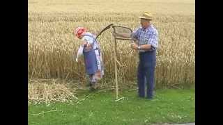 Teil 13 Getreide  Von der Saat bis zum Brot [upl. by Ayotan]