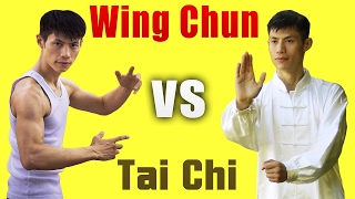 Tai Chi vs Wing Chun Guide For Beginners [upl. by Llemart23]